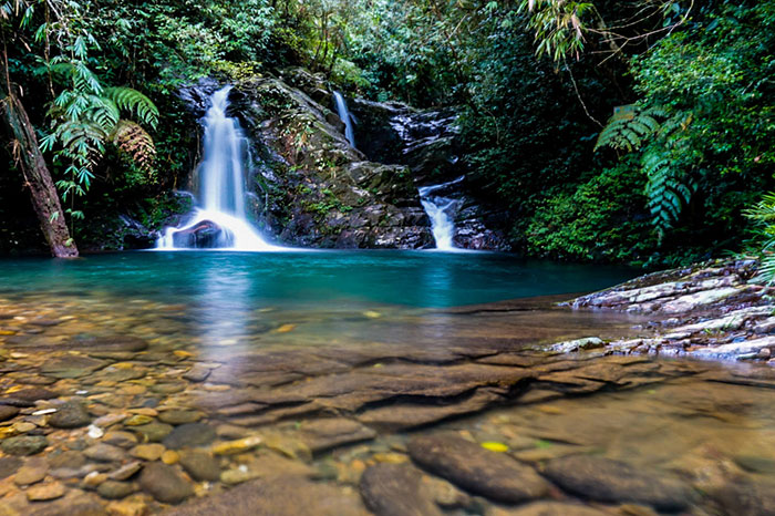 Los 8 mejores parques nacionales de Vietnam para un viaje orientado a la naturaleza
